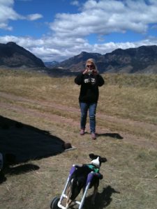 Camping in Wyoming with the fur kids. So many things to see and explore in the mountains!